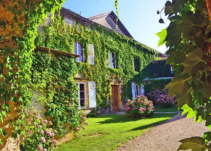 Chateau De Buffavent 5* Denicé