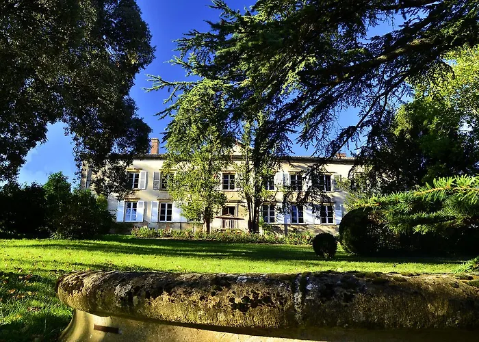 Chateau De Buffavent 5* Denicé