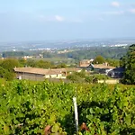 Chateau De Buffavent Bed and breakfast Denicé