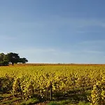 Chateau De Buffavent Bed and breakfast 5*