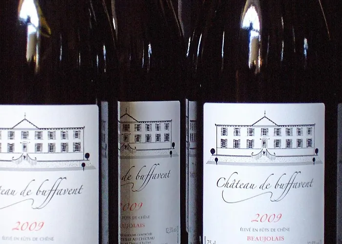 Chateau De Buffavent 5*